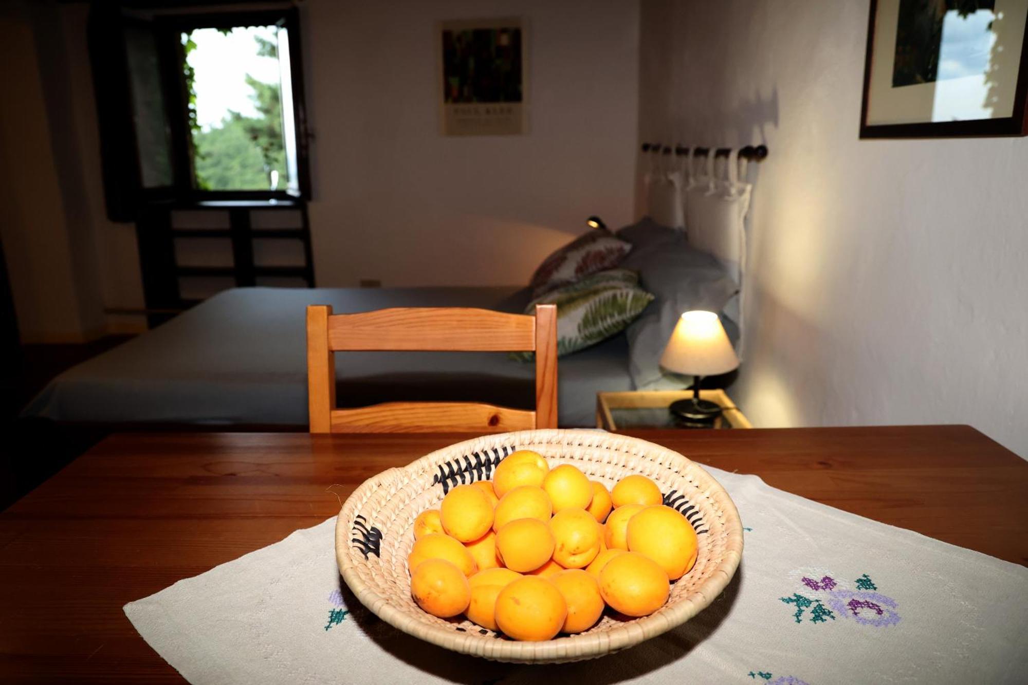 בית הארחה Montemassi 	Casa Marju מראה חיצוני תמונה