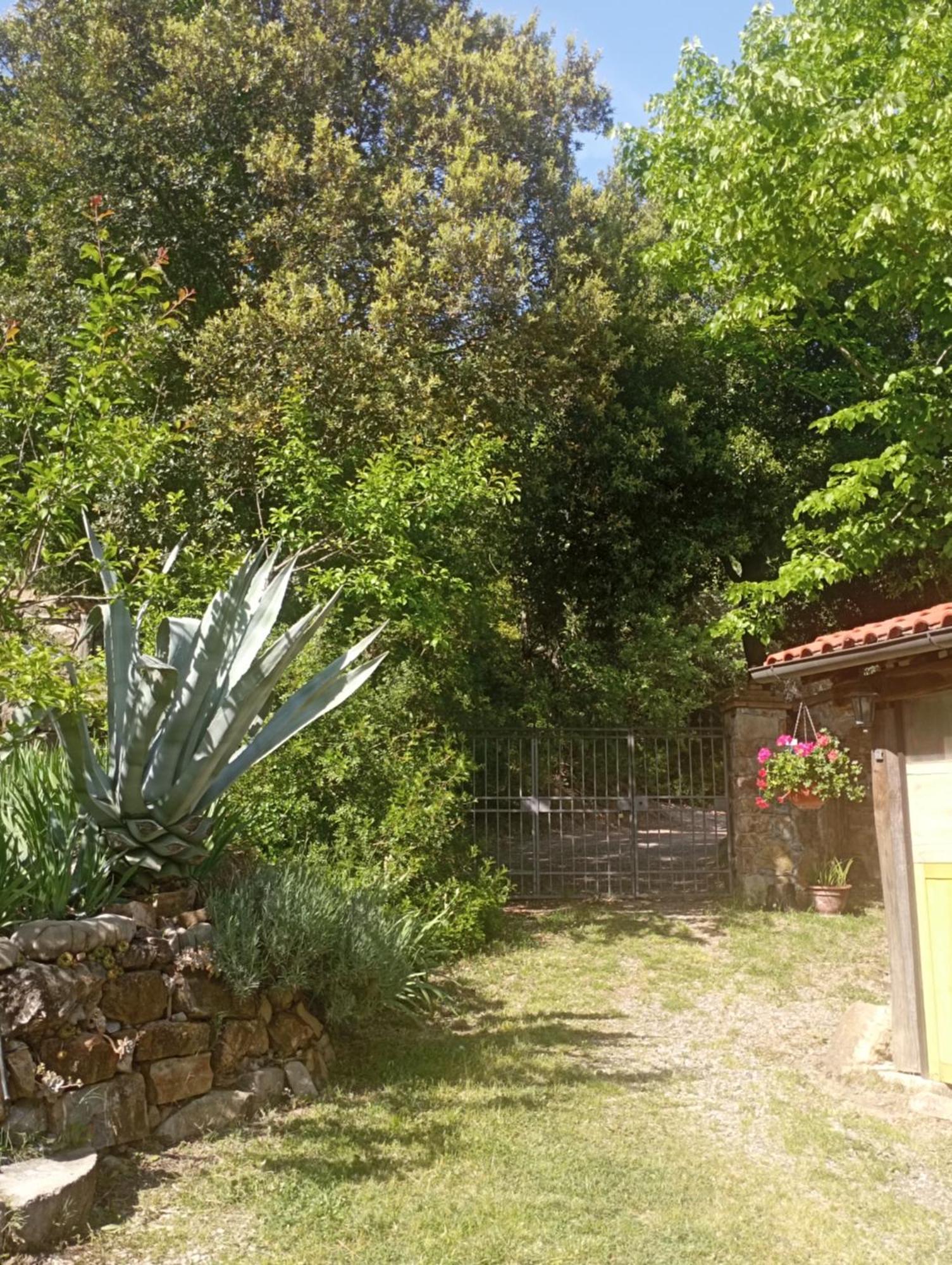 בית הארחה Montemassi 	Casa Marju מראה חיצוני תמונה